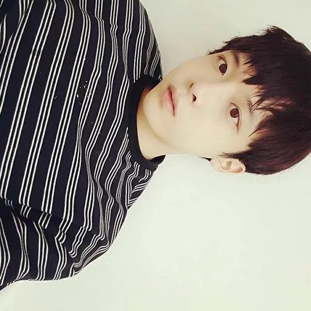 黎绿鸣言