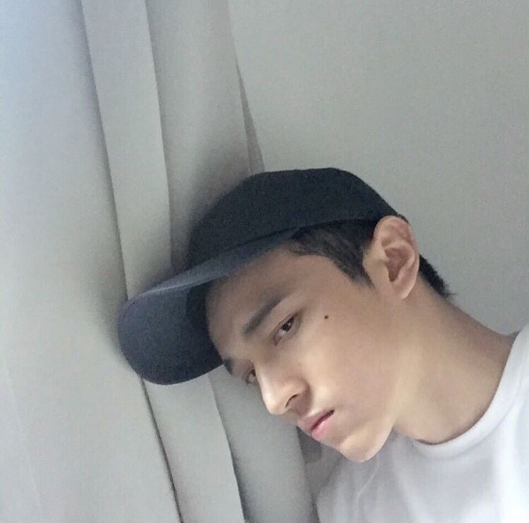沈雁茗敬