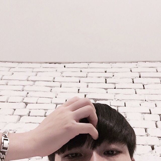 荣磊诚琼