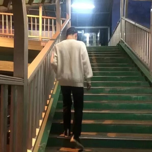 李磊裕红