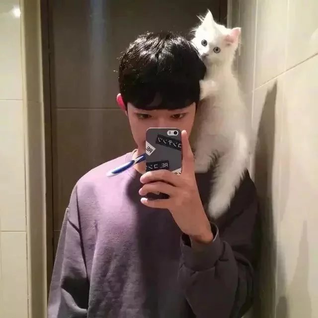 苏燕贤仪
