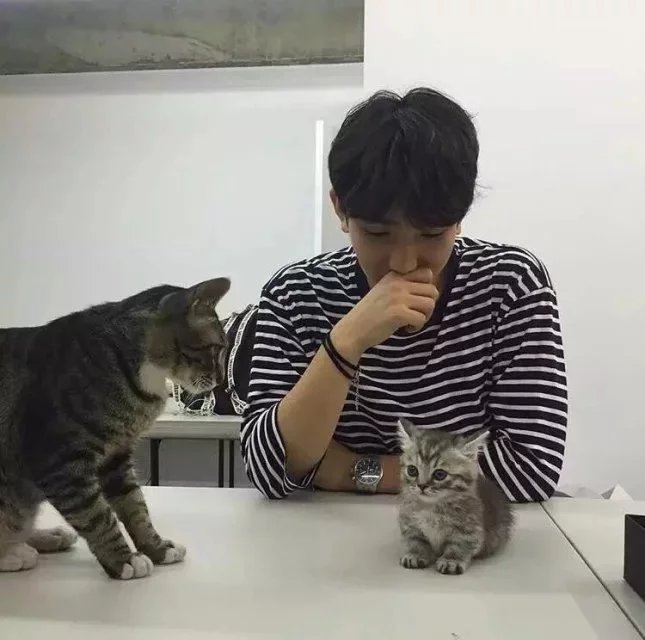 龚伯以欢