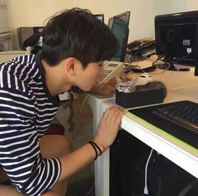 支树娅琬